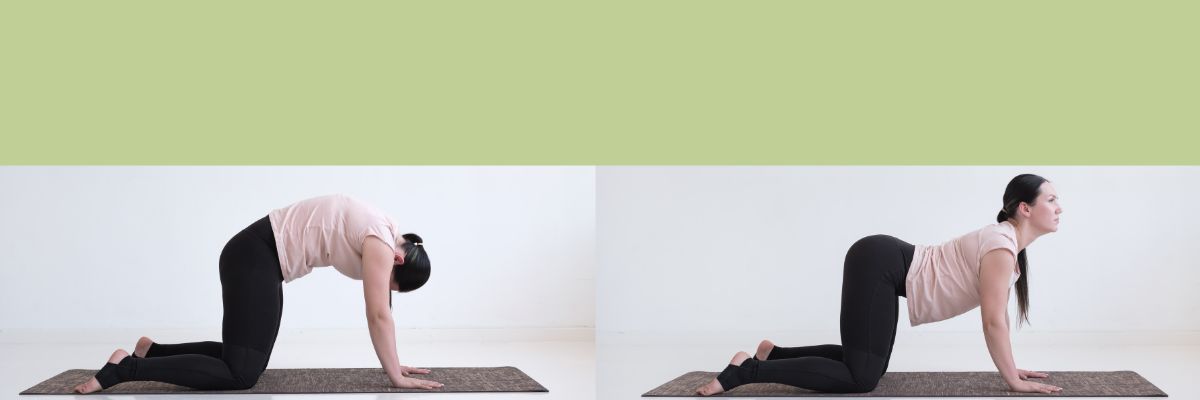Cat-Cow Pose (Marjaryasana-Bitilasana)